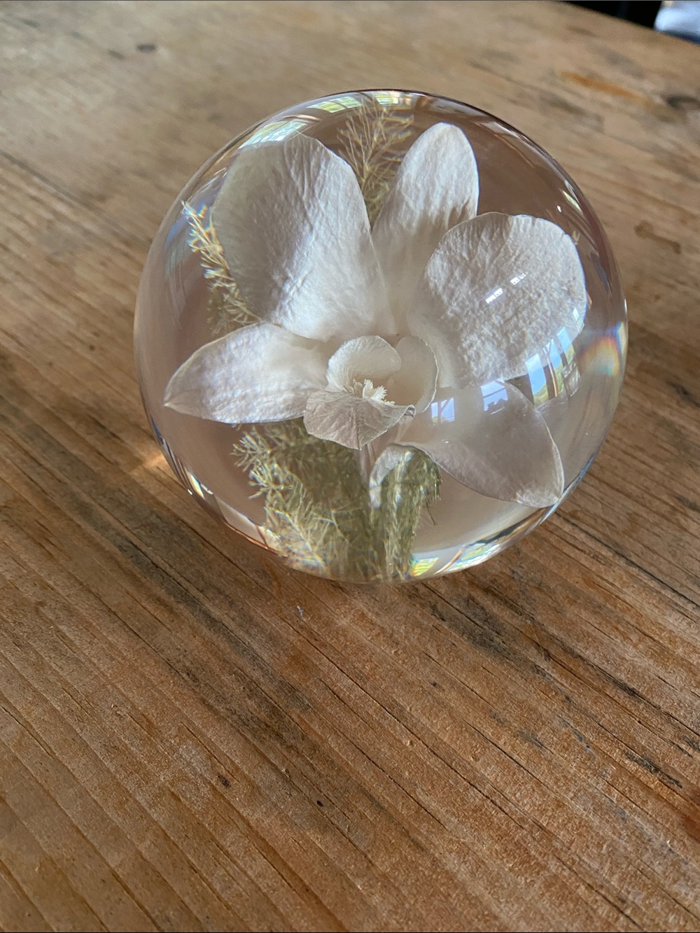 Vintage Hafod Grange Orchid Paperweight — White Floral Décor
